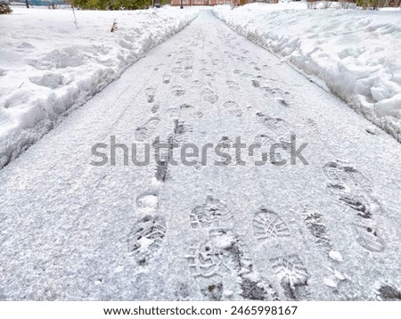 Image, Stock Photo frosty walk Feet Plant