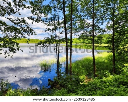 Similar – Foto Bild Spiegelung Wasser Herbst