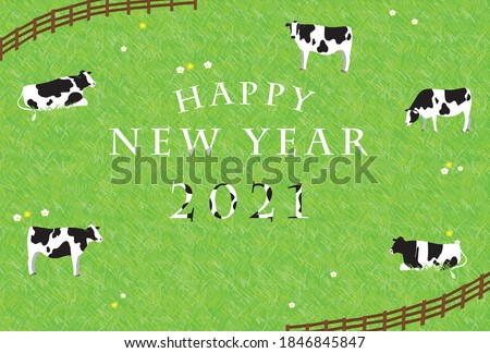 2021 Cow New Year's card: Cows relaxing on the ranch.