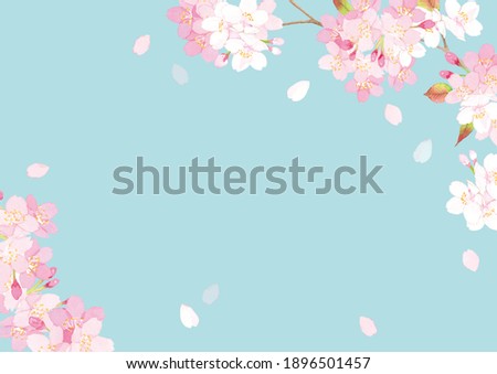 Similar – Image, Stock Photo Blossom in spring with backlight