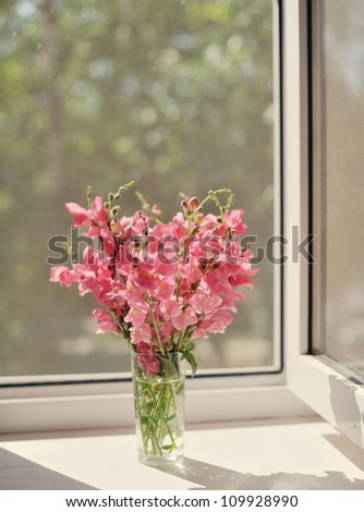 Bouquet of scarlet roses in a pot on a window sill early in
