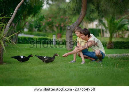summer in the park on the green lawn son with his father feed wild ducks