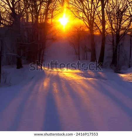 Similar – Image, Stock Photo Footpath in winter, always straight ahead, on the left of it a wooden fence, behind it bushes, on the right side of the path a brook bank. Falling snowflakes, in the distance trees can be seen in the mist.