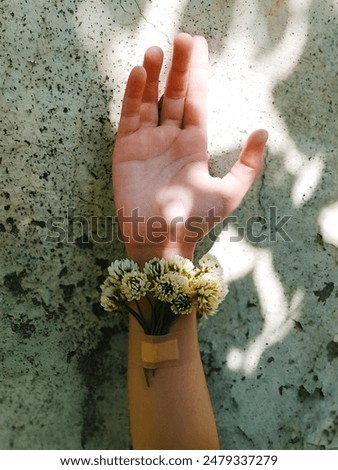 Similar – Foto Bild Frau mit Blume auf einem Pflaster