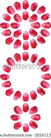 Pomegranate seeds in the shape of circle. Rosh Hashanah. Round shaped pomegranate seeds, sweet red fruit grains. Shana Tova - Jewish New Year. Red circle made from pomegranate seeds, gradient mesh.