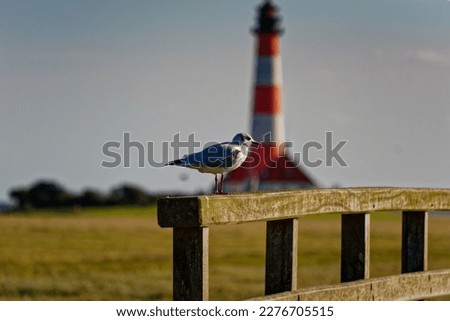 Similar – Foto Bild Leuchtturm Westerhever hinter den Dünen von St. Peter-Ording