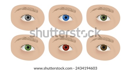 Realistic human eyes vector illustration design. Different colors irises, blue, gray, red, brown green