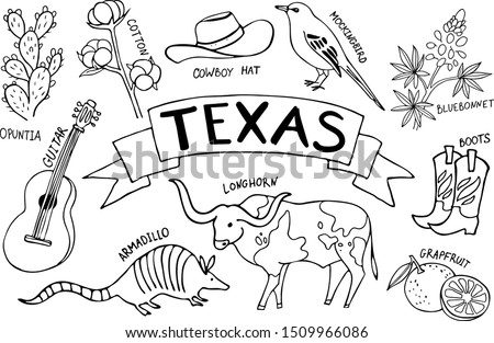 Set with symbols of Texas. Vector illustration