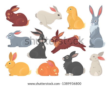 Vector set of cute rabbits in cartoon style. Bunny pet silhouette in different poses. Hare and rabbit colorful animals collection.