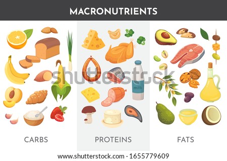 Macronutrients vector illustration. Main food groups : proteins, fats and carbohydrates. Dieting, healthy eating concept. 商業照片 © 