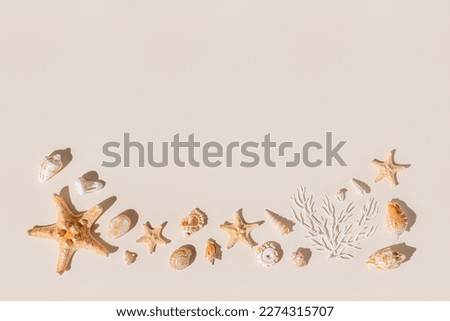 Similar – Image, Stock Photo Decorative stones and seashells on tray near dirt