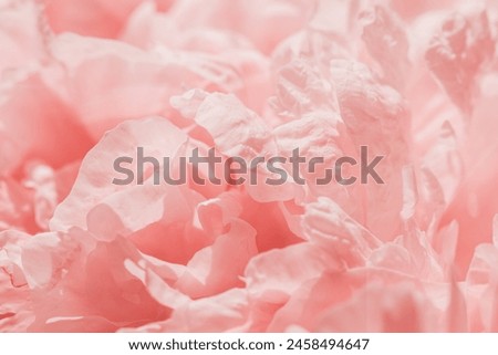 Image, Stock Photo Close up of pink velvet fabric background texture