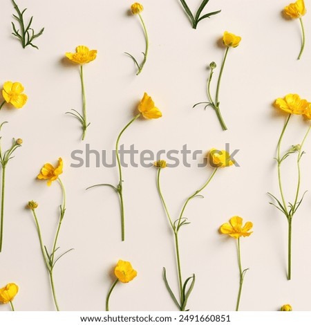 Similar – Image, Stock Photo The buttercup