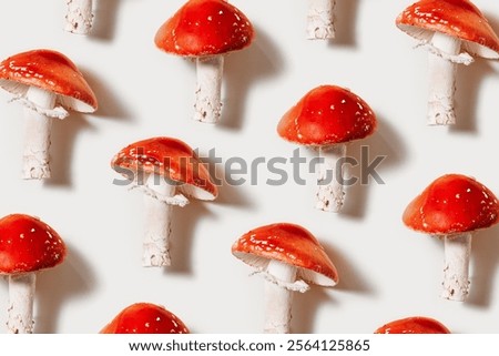 Similar – Image, Stock Photo Autumn wild mushrooms on purple tabletop. Edible honey fungus