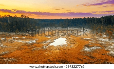 Similar – Foto Bild Wollgras blüht im Moor, im Hintergrund ein Aussichtsturm und Bäume vor blaugrauem Himmel