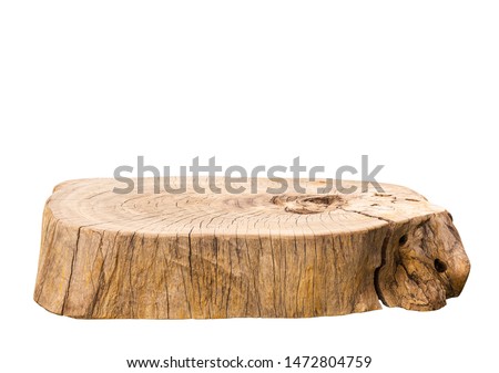Similar – Image, Stock Photo Dead tree above the Achensee in Tirol in Austria