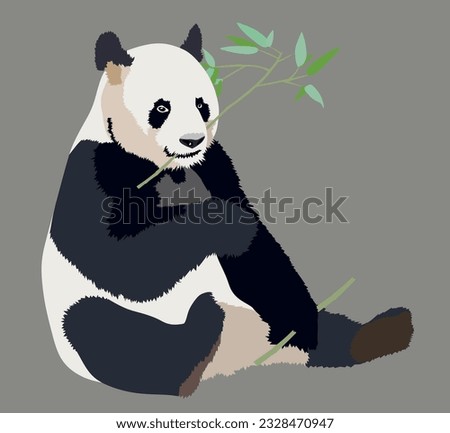Realistic big panda sitting and eating bamboo isolated illustration