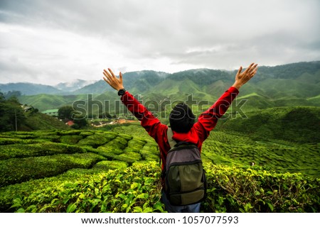 Similar – Image, Stock Photo Tea plantation in Malaysia