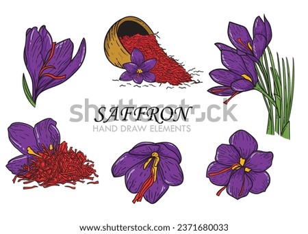 Package of crocus or saffron flowers with pistils. Botanical flowers. Isolated illustration element. Hand drawn vector flowers in colored line art style, texture, packaging, ornament design, Card.