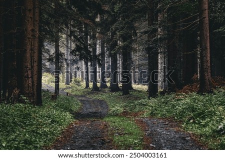 Similar – Image, Stock Photo there could be rain