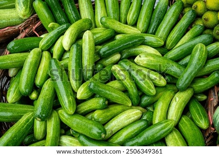 Similar – Image, Stock Photo Cucumbers