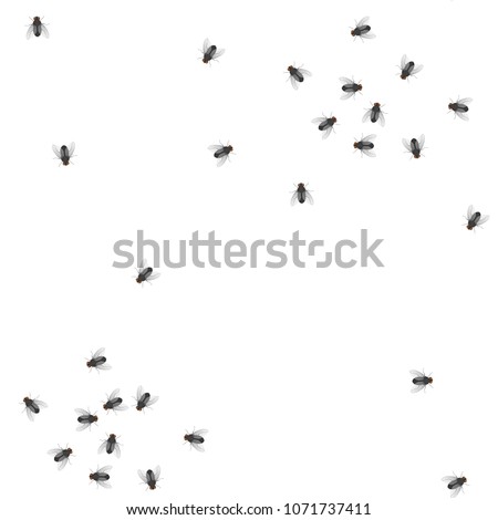 Seamless pattern from flock of flies on a white background. Insects. Vector illustration.