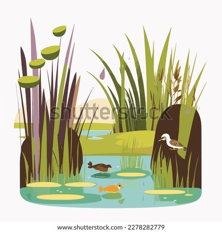 A tranquil wetland with cattails, waterfowl, and hidden channels