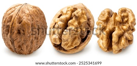 Similar – Image, Stock Photo walnuts Walnut Walnuts Nut