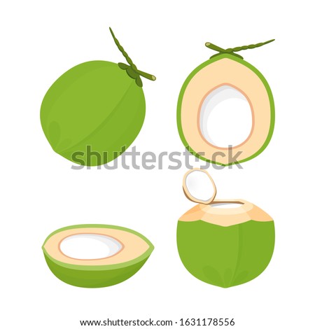 coconut fresh young isolated on white background, illustration coconut half sliced for healthy food menu fruit juice, coconut summer fruit concept, green coconut for clip art simple