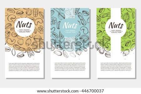 Vector background with sketches of plants of various nuts. The pattern with space for text. Flyer, booklet advertising and design. Line silhouettes of cashew, hazelnut, walnut, pistachio, pecan.