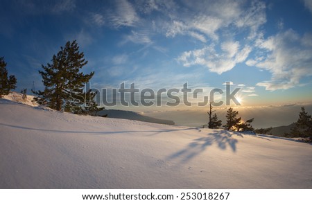 Landscape. Trees in the snow against the blue sky with clouds and sun