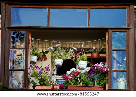 The balcony with flower pots and flowers blooming