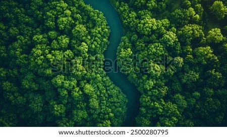 Similar – Image, Stock Photo Beautiful aerial view.  Low clouds over the valley