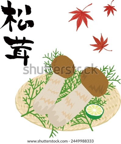 Vector illustration of two matsutake mushrooms on a colander, a Japanese autumn delicacy.