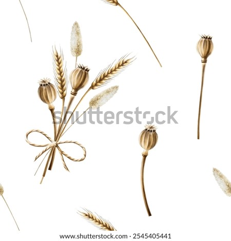 Similar – Image, Stock Photo dry poppy boxes and stems