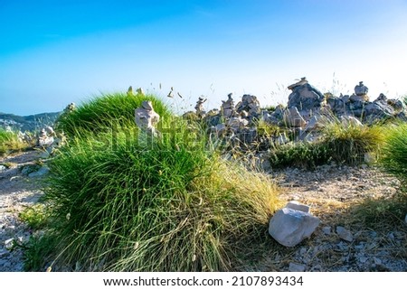 Stone turrets made by tourists for good luck among the green grass  on top of Jezerski mountain near Njegos mausoleum. Lovcen National Park. Montenegro. Blue sunny clear sky landscape background. Foto d'archivio © 
