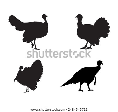 Turkey birds Silhouette vector art, graphics