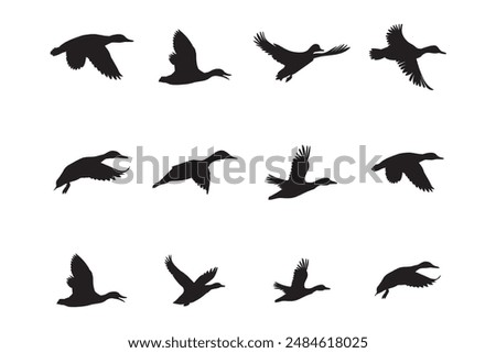 duck silhouettes, vector art, graphics