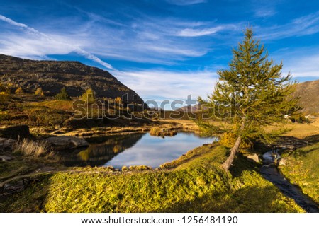 Similar – Image, Stock Photo #A9# Autumn in the forest