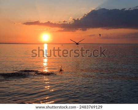 Similar – Foto Bild Simcoe-Landschaft in der Abenddämmerung