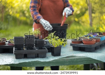 Similar – Image, Stock Photo pot plant Plant Pot plant