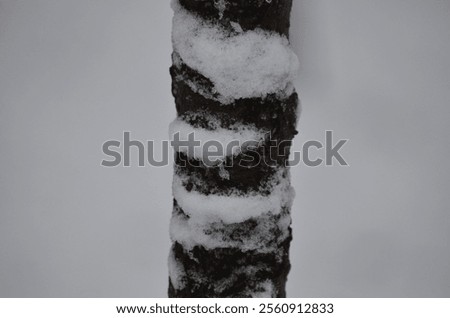 Similar – Image, Stock Photo street Tree trunk Winter