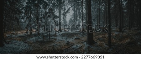 Similar – Image, Stock Photo Oak in winter light Fog