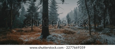 Similar – Image, Stock Photo Deep Freeze Ice Winter