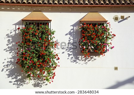 Windows decorated with flowers in Cordoba Patios party.