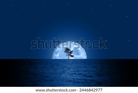 Moonlight night sea landscape beautiful nature blue background vector illustration blue silhouette wallpaper moon light sea water reflection stars tree