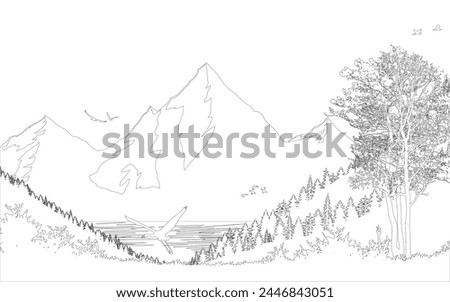 Line art Mountain landscape forest woods scenary outline vector background cover poster silhouette wallpaper jungle birds trees beautiful nature scene illustration