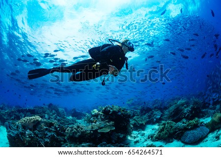 Similar – Image, Stock Photo Girl dives in the pool, in the blue water.