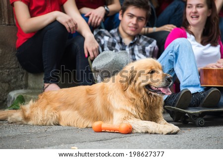 Dog sitting with a group young people on the street