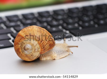 Slow connection as a snail